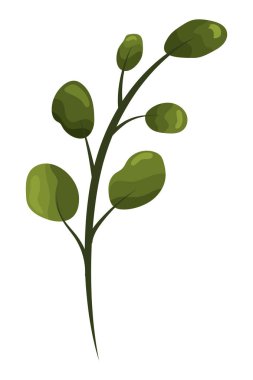 çizgi film vektör çizim grafik tasarım çiçek tropikal yapraklar