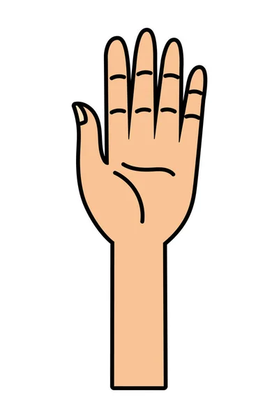 Menselijke Hand Cartoon Vector Illustratie Grafisch Ontwerp — Stockvector