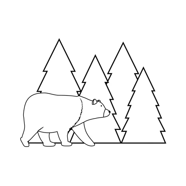 Kiefern Bäume Wald Szene Mit Bär Grizzly Vektor Illustration Design — Stockvektor