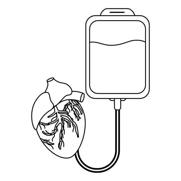 Hälso Och Medicinska Människans Anatomi Hjärtat Tecknade Vektor Illustration Grafisk — Stock vektor