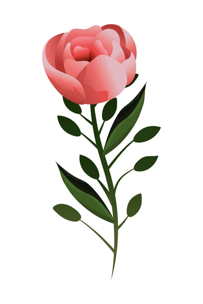Floral Tropical Rose Flower Cartoon Vector Desain Grafis - Stok Vektor