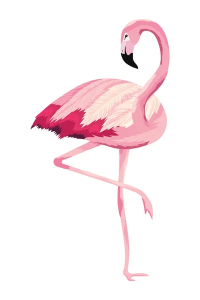 Tropical Flamingo Cartoon Vector Illustration Graphic Design — Stock Vector