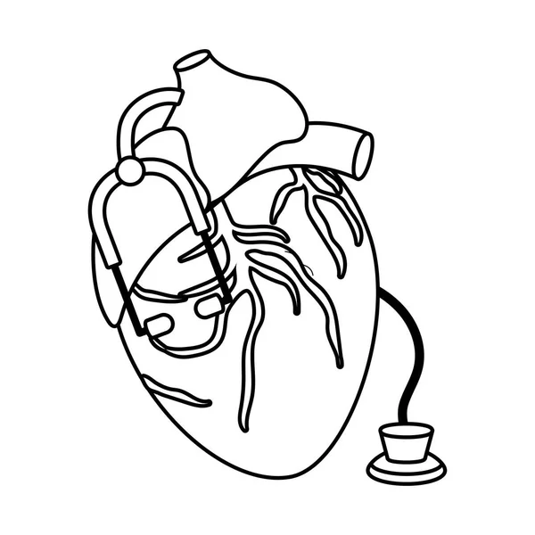 Médecine Santé Anatomie Humaine Coeur Avec Stéthoscope Dessin Animé Vectoriel — Image vectorielle