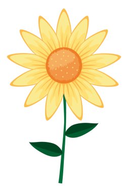 sevimli ayçiçeği çizgi vektör çizim grafik tasarım