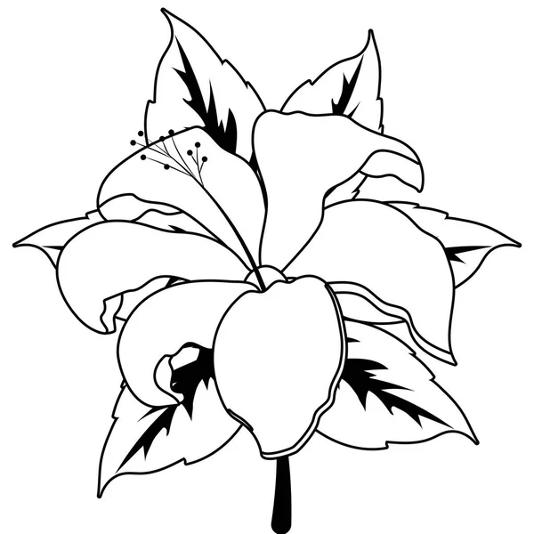 Floral Flor Tropical Desenho Animado Vetor Ilustração Design Gráfico — Vetor de Stock