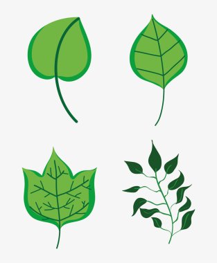 Yaprak toplama vektör çizim grafik tasarım