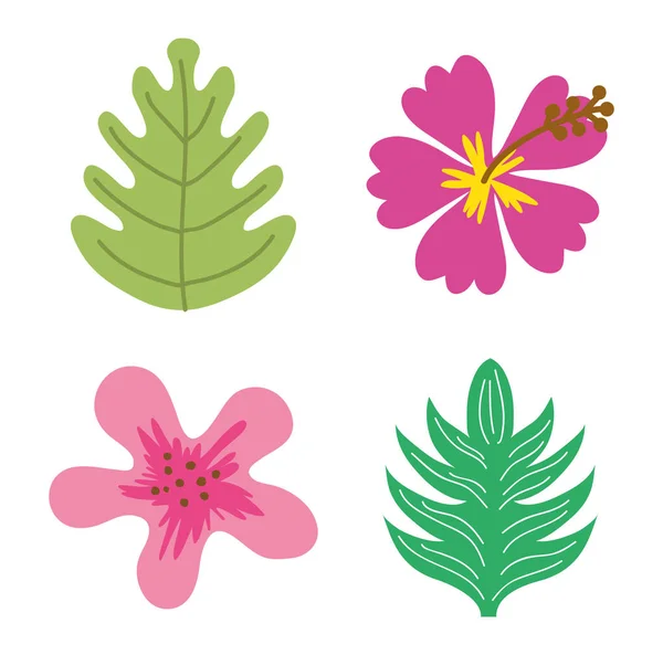 Flores Hojas Colección Vector Ilustración Diseño Gráfico — Vector de stock