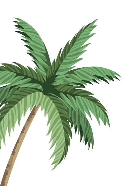 Yaprak Yaprak Palm Karikatür Vektör Çizim Grafik Tasarım — Stok Vektör