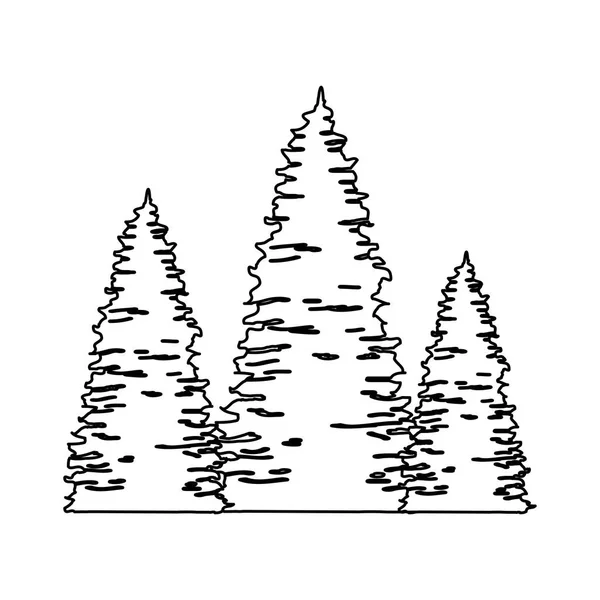 松の木の森のシーン ベクトル イラスト デザイン — ストックベクタ