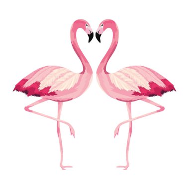 tropikal flamingolar çift çizgi film vektör çizim grafik tasarım