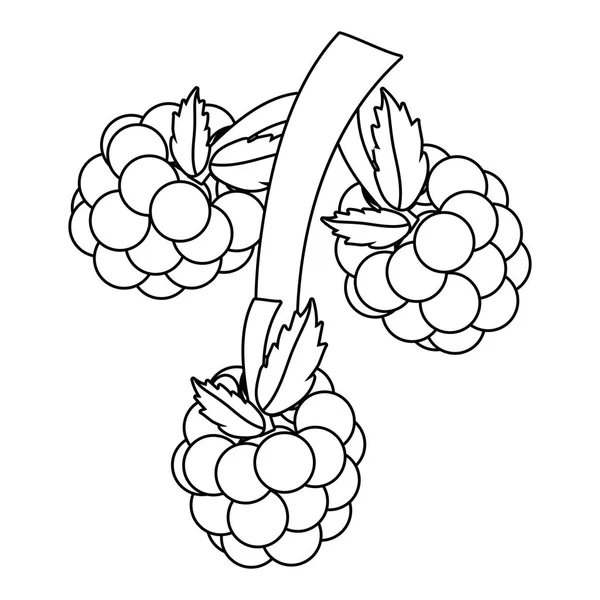 Deliciosas Frutas Sabrosas Uvas Dibujos Animados Vector Ilustración Diseño Gráfico — Archivo Imágenes Vectoriales