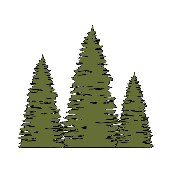 Desain Gambar Pohon Pinus Pemandangan Hutan - Stok Vektor