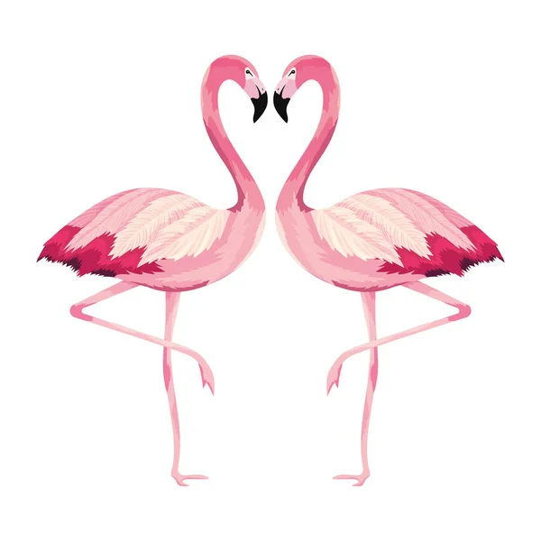 Tropikal Flamingolar Çift Çizgi Film Vektör Çizim Grafik Tasarım — Stok Vektör