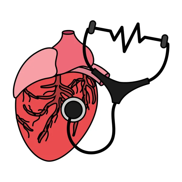 Salute Medica Anatomia Umana Cuore Con Stetoscopio Fumetto Vettore Illustrazione — Vettoriale Stock