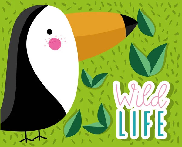 Sevimli Tucan Yaban Hayatı Hayvan Kuş Vektör Çizim Grafik Tasarım — Stok Vektör