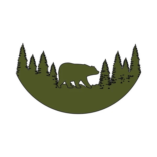 Kiefern Bäume Wald Szene Mit Bär Grizzly Vektor Illustration Design — Stockvektor