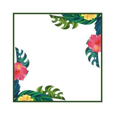 doğa çiçek kare karikatür vektör çizim grafik tasarım