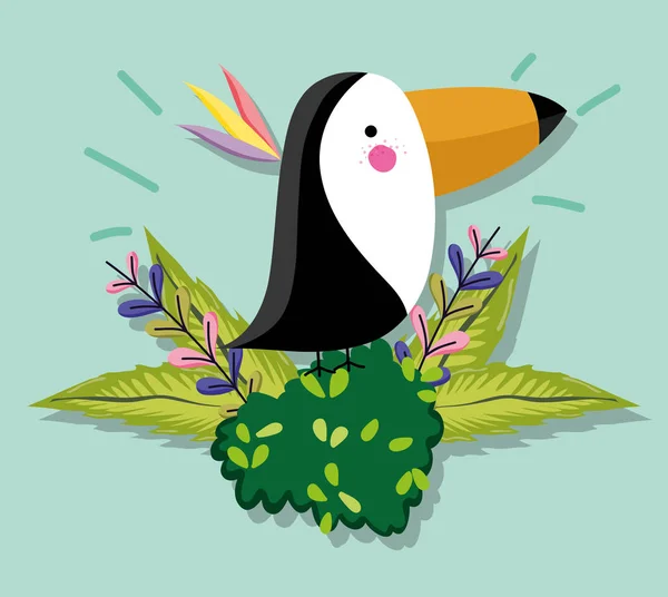 Cute tucan wildlife animal bird vector illustration graphic design