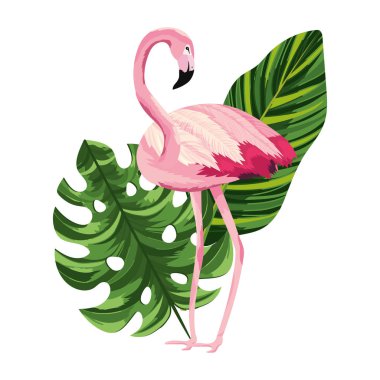 yaprak yaprak karikatür vektör çizim grafik tasarım ile tropikal flamingo