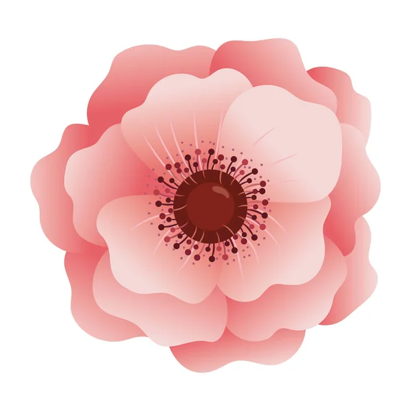 Floral Tropical Rose Fleur Dessin Animé Vecteur Illustration Graphisme — Image vectorielle