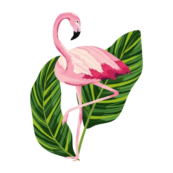 Trópusi Flamingo Lap Levél Rajzfilm Vektoros Illusztráció Grafikai Tervezés — Stock Vector