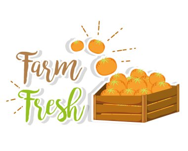 Çiftlik taze ahşap kutu portakal vektör çizim grafik tasarım ile