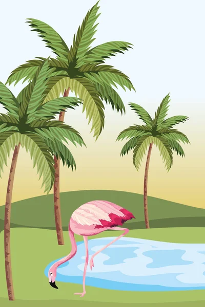 Flamingo Tropikalnej Przyrody Jezioro Palmy Kreskówka Wektor Grafika Ilustracja — Wektor stockowy