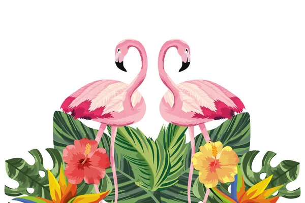 Flamencos Tropicales Con Flores Vector Dibujos Animados Ilustración Diseño Gráfico — Vector de stock