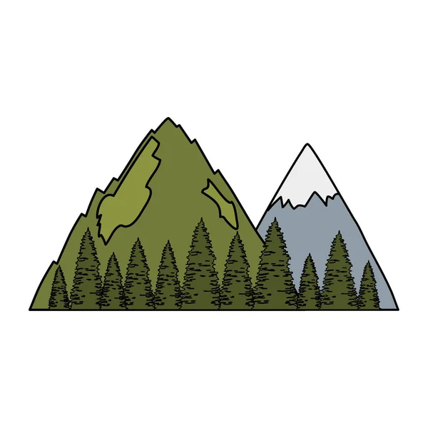 Pinos Árboles Bosque Con Montañas Escena Vector Ilustración Diseño — Vector de stock