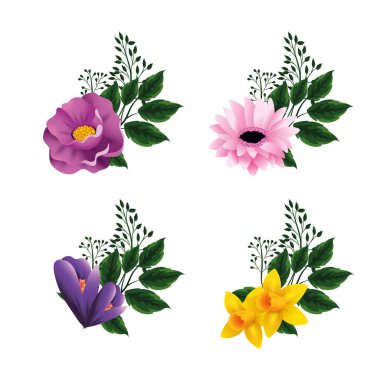 dalları egzotik çiçekler ayarlamak vektör illüstrasyon yaprakları