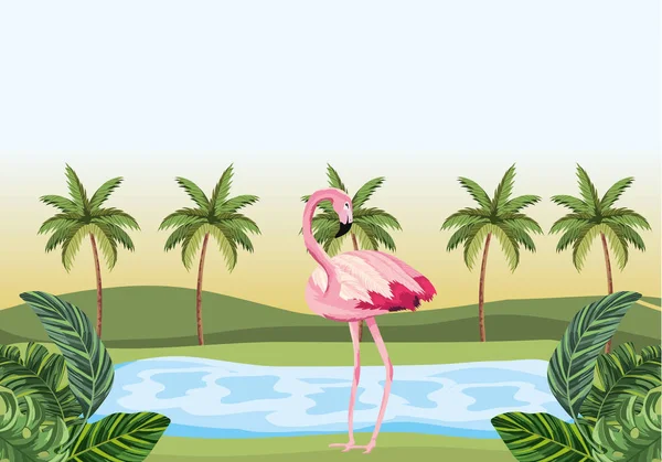 Tropikal flamingo karikatür — Stok Vektör