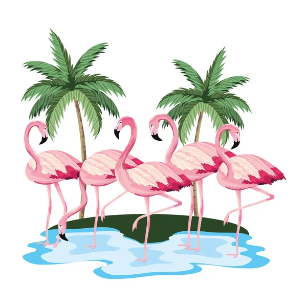 Kreskówka tropikalny flamingi — Wektor stockowy