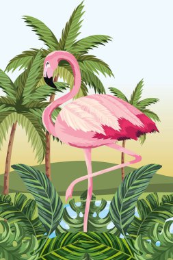 tropical flamingo cartoon clipart