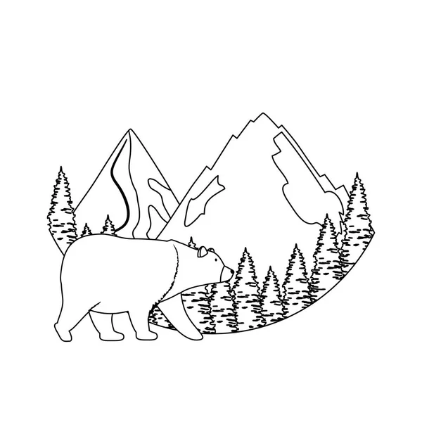 Berg med Björn grizzly och tallar — Stock vektor