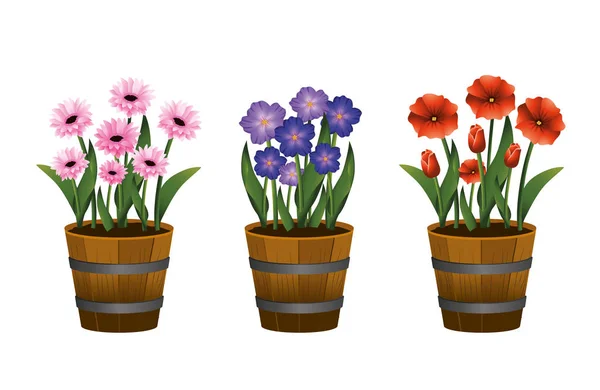 Establecer flores exóticas plantas con hojas dentro de maceta — Vector de stock