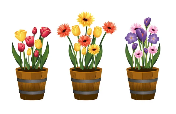 Set beauty flowers plants with leaves inside flowerpot — Stock Vector