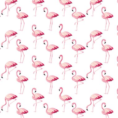 tropikal flamingolar çizgi film