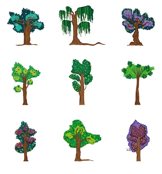 Ensemble d'arbres forestiers — Image vectorielle