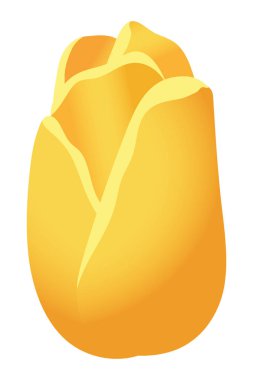 çiçek tropikal karikatür