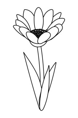 çiçek tropikal karikatür