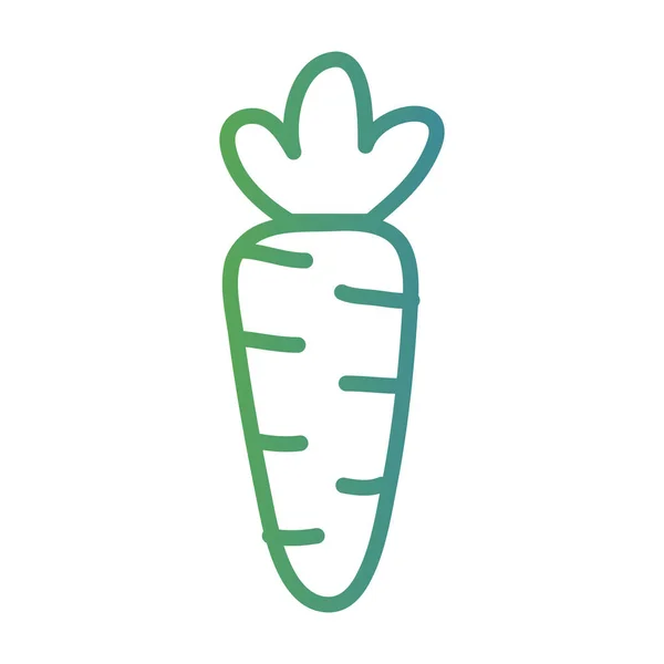 Línea saludable zanahoria verduras alimentos — Vector de stock