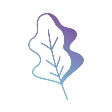 siluet ot baharat madde gıda tadı