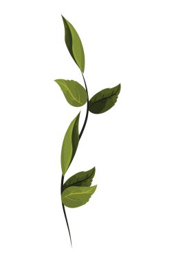 çiçek tropikal karikatür