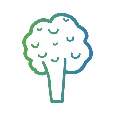 satır sağlıklı brokoli sebze yemek