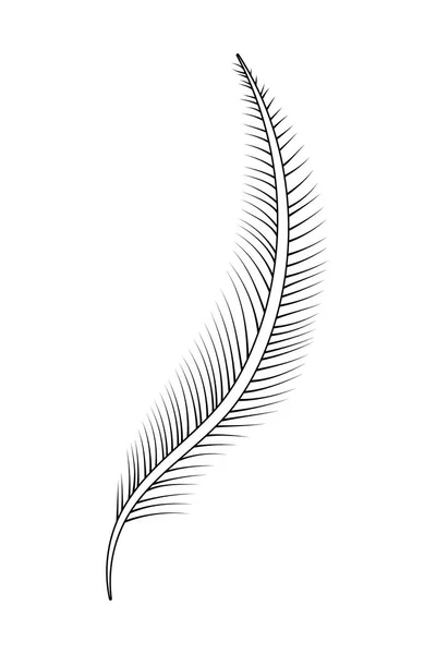 Naturaleza pluma dibujos animados — Vector de stock