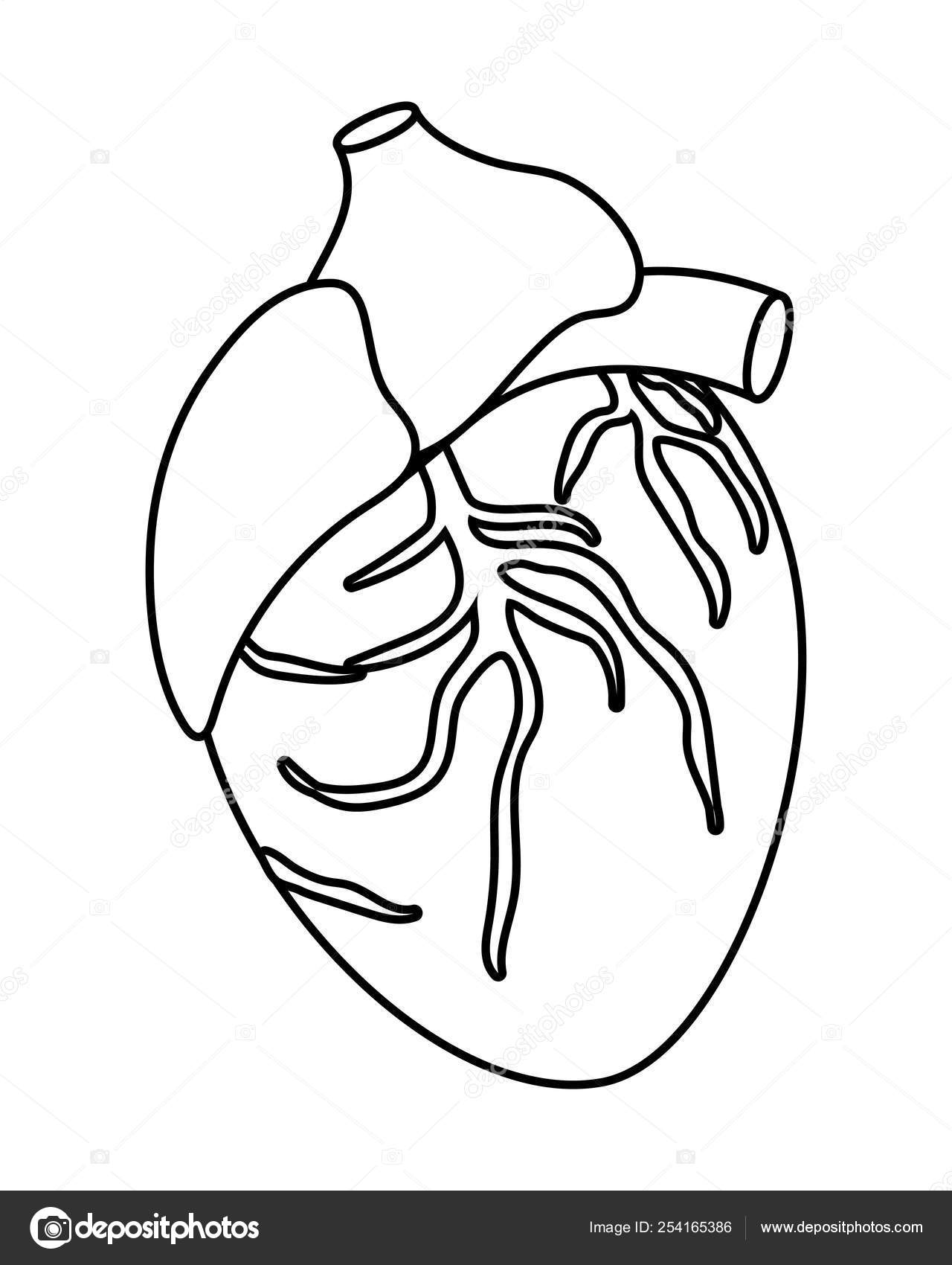 Vetores de Instrumentos Médicos Médico Ferramentas Vetorial Medicament Em  Desenho Animado Estilo Medicação Hospital Saúde Sem Costura De Fundo e mais  imagens de AIDS - iStock