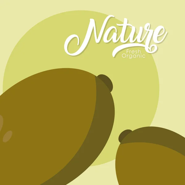 新西兰人天然水果 — 图库矢量图片