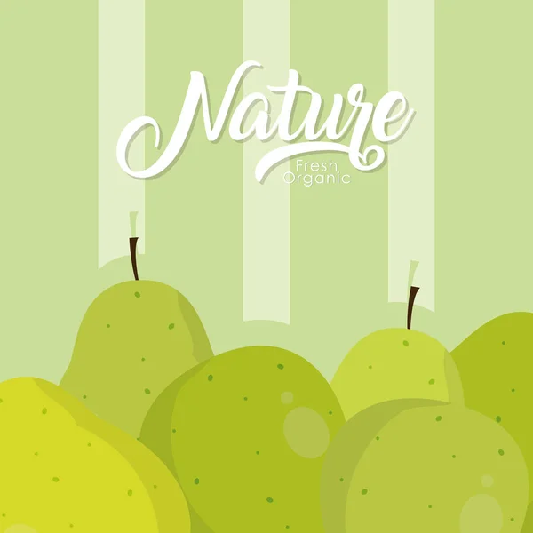 Poires fruits de la nature — Image vectorielle