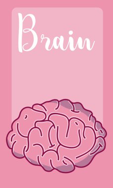 Beyin ve zeka kavramı