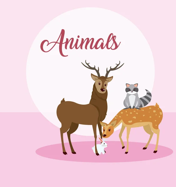 Cute animals card cartoon — Stock Vector